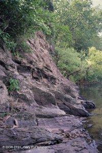 Piamonte / Apalaches centrales máfico / Acantilado calcáreo – CEGL006479 Piamonte / Apalaches centrales máfico / Acantilado calcáreo – CEGL006479