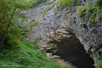 Acantilado calcáreo xérico de los Apalaches – CEGL004476 Acantilado calcáreo xérico de los Apalaches – CEGL004476