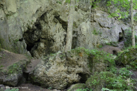 Acantilado calcáreo xérico de los Apalaches – CEGL004476 Acantilado calcáreo xérico de los Apalaches – CEGL004476