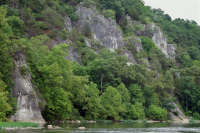 Acantilado calcáreo xérico de los Apalaches – CEGL004476 Acantilado calcáreo xérico de los Apalaches – CEGL004476