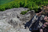 Acantilado no vascular ácido de baja elevación de los Apalaches centrales / Boulderfield - CEGL004142 Acantilado no vascular ácido de baja elevación de los Apalaches centrales / Boulderfield - CEGL004142