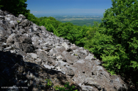 Acantilado no vascular ácido de baja elevación de los Apalaches centrales / Boulderfield - CEGL004142 Acantilado no vascular ácido de baja elevación de los Apalaches centrales / Boulderfield - CEGL004142