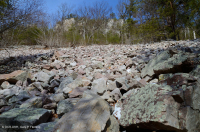 Acantilado no vascular ácido de baja elevación de los Apalaches centrales / Boulderfield - CEGL004142 Acantilado no vascular ácido de baja elevación de los Apalaches centrales / Boulderfield - CEGL004142