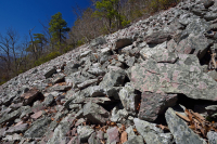 Acantilado no vascular ácido de baja elevación de los Apalaches centrales / Boulderfield - CEGL004142 Acantilado no vascular ácido de baja elevación de los Apalaches centrales / Boulderfield - CEGL004142