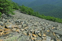 Acantilado no vascular ácido de baja elevación de los Apalaches centrales / Boulderfield - CEGL004142 Acantilado no vascular ácido de baja elevación de los Apalaches centrales / Boulderfield - CEGL004142