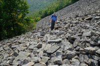 Acantilado no vascular ácido de baja elevación de los Apalaches centrales / Boulderfield - CEGL004142 Acantilado no vascular ácido de baja elevación de los Apalaches centrales / Boulderfield - CEGL004142