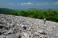 Acantilado no vascular ácido de baja elevación de los Apalaches centrales / Boulderfield - CEGL004142 Acantilado no vascular ácido de baja elevación de los Apalaches centrales / Boulderfield - CEGL004142