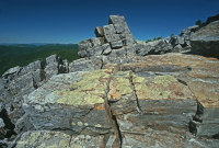 Acantilado no vascular ácido de baja elevación de los Apalaches centrales / Boulderfield - CEGL004142 Acantilado no vascular ácido de baja elevación de los Apalaches centrales / Boulderfield - CEGL004142