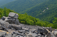 Acantilado no vascular ácido de baja elevación de los Apalaches centrales / Boulderfield - CEGL004142 Acantilado no vascular ácido de baja elevación de los Apalaches centrales / Boulderfield - CEGL004142