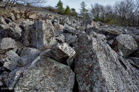 Acantilado no vascular ácido de baja elevación de los Apalaches centrales / Boulderfield - CEGL004142 Acantilado no vascular ácido de baja elevación de los Apalaches centrales / Boulderfield - CEGL004142
