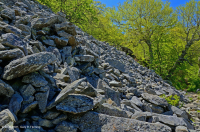 Acantilado no vascular máfico de los Apalaches centrales / Boulderfield - CEGL004143 Acantilado no vascular máfico de los Apalaches centrales / Boulderfield - CEGL004143
