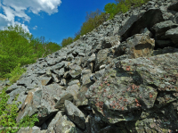 Acantilado no vascular máfico de los Apalaches centrales / Boulderfield - CEGL004143 Acantilado no vascular máfico de los Apalaches centrales / Boulderfield - CEGL004143