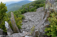 Acantilado no vascular máfico de los Apalaches centrales / Boulderfield - CEGL004143 Acantilado no vascular máfico de los Apalaches centrales / Boulderfield - CEGL004143
