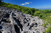 Campo de rocas ácidas no vasculares de alta elevación de los Apalaches centrales - CEGL004389 Campo de rocas ácidas no vasculares de alta elevación de los Apalaches centrales - CEGL004389