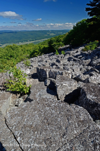 Campo de rocas ácidas no vasculares de alta elevación de los Apalaches centrales - CEGL004389 Campo de rocas ácidas no vasculares de alta elevación de los Apalaches centrales - CEGL004389