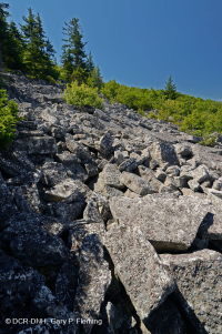 Campo de rocas ácidas no vasculares de alta elevación de los Apalaches centrales - CEGL004389 Campo de rocas ácidas no vasculares de alta elevación de los Apalaches centrales - CEGL004389