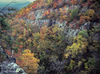 Fresno básico de los Apalaches centrales - Bosque de nogal americano - CEGL003683 Fresno básico de los Apalaches centrales - Bosque de nogal americano - CEGL003683