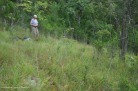 Caliza / Dolomita estéril (tipo de cresta sur y valle) – CEGL005131 Caliza / Dolomita estéril (tipo de cresta sur y valle) – CEGL005131