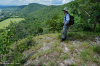 Bosque de Dolostone de Cresta y Valle - CEGL006030 Bosque de Dolostone de Cresta y Valle - CEGL006030