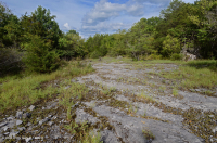 Piedra caliza anual Flatrock Barren – CEGL007073 Piedra caliza anual Flatrock Barren – CEGL007073