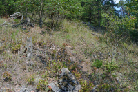 Bosque ultramáfico de Southern Blue Ridge - CEGL004968 Bosque ultramáfico de Southern Blue Ridge - CEGL004968