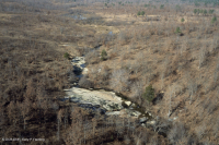 Roca plana granítica de Piamonte - CEGL003857 Roca plana granítica de Piamonte - CEGL003857