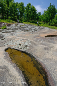 Roca plana granítica de Piamonte - CEGL003857 Roca plana granítica de Piamonte - CEGL003857