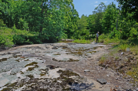 Roca plana granítica de Piamonte - CEGL003857 Roca plana granítica de Piamonte - CEGL003857