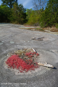 Roca plana granítica de Piamonte - CEGL003857 Roca plana granítica de Piamonte - CEGL003857