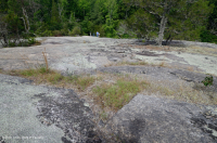 Roca plana granítica de Piamonte - CEGL003857 Roca plana granítica de Piamonte - CEGL003857