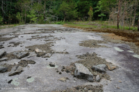 Roca plana granítica de Piamonte - CEGL003857 Roca plana granítica de Piamonte - CEGL003857