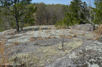 Roca plana granítica de Piamonte - CEGL003857 Roca plana granítica de Piamonte - CEGL003857