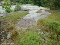 Roca plana granítica de Piamonte - CEGL003857 Roca plana granítica de Piamonte - CEGL003857