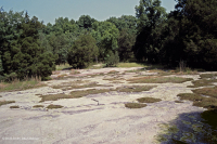 Roca plana granítica de Piamonte - CEGL003857 Roca plana granítica de Piamonte - CEGL003857