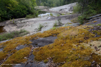 Roca plana granítica de Piamonte - CEGL003857 Roca plana granítica de Piamonte - CEGL003857