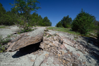 Roca plana granítica de Piamonte - CEGL003857 Roca plana granítica de Piamonte - CEGL003857