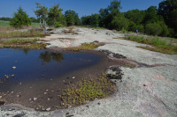 Roca plana granítica de Piamonte - CEGL003857 Roca plana granítica de Piamonte - CEGL003857