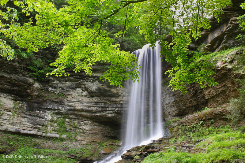 Acantilado de rocío de los Apalaches