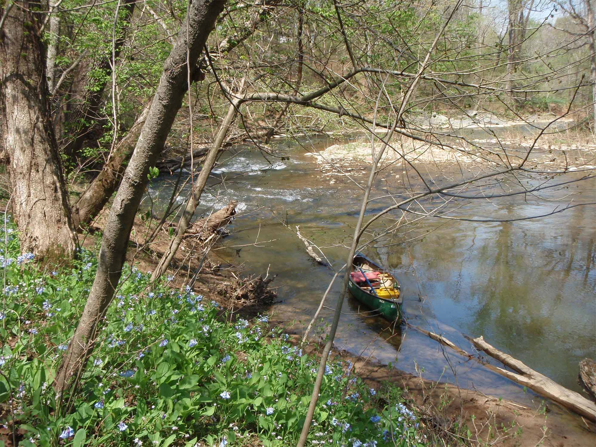 Arroyo Catoctin entre Taylorstown y el río Potomac. Foto: Mark Jeffries