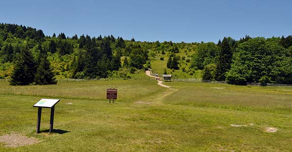 Sendero en el Parque Estatal Grayson Highlands