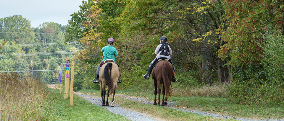 Paseos a caballo en Sweet Run