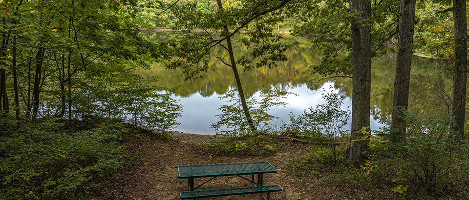 Mesa de picnic junto al río