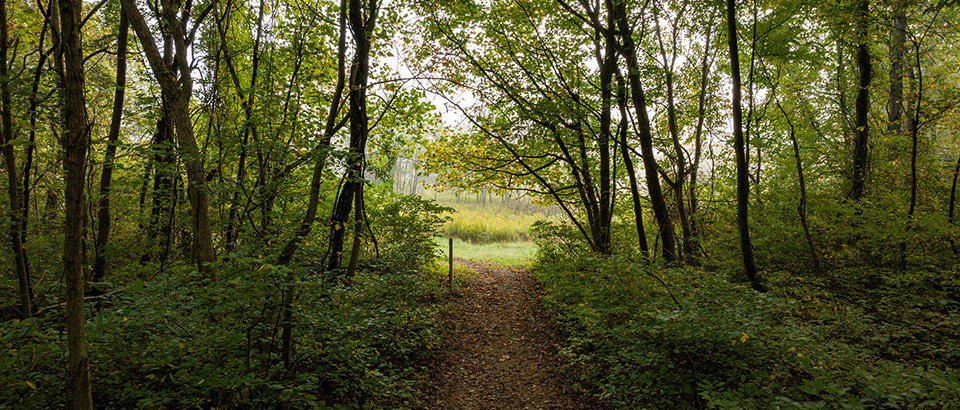 Sendero en Sweet Run