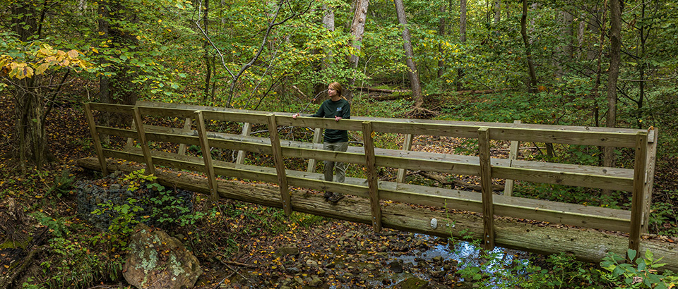 Sendero en el Parque Estatal Sweet Run