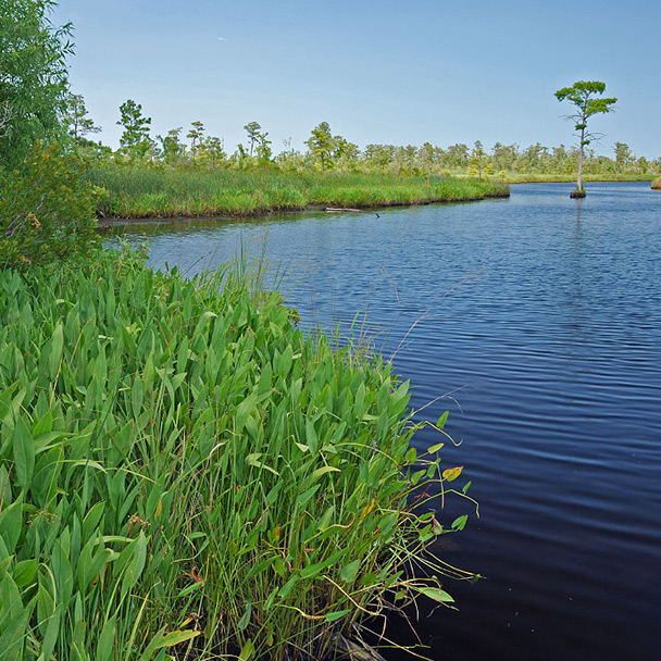 Calendario de eventos