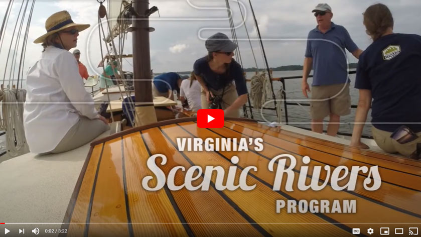 Video de descripción general del programa de YouTube