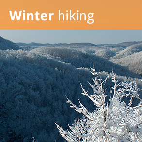 Senderismo de invierno