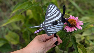 Manualidad de mariposas