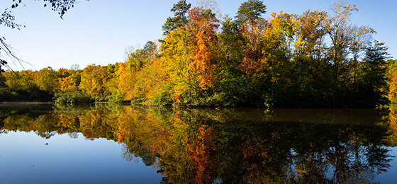 Imágenes del control deslizante