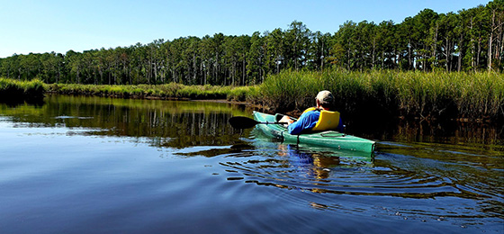 Imágenes del control deslizante